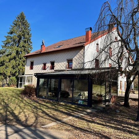 Ferme Des Jonquilles 15P - Billard, Ps4, Salle De Sport Gerardmer Exterior photo