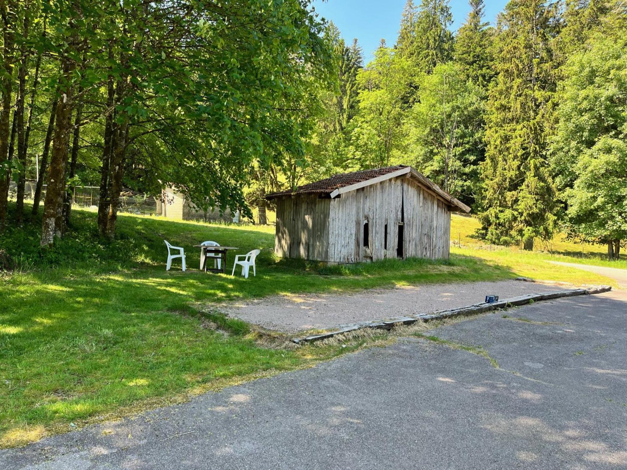 Ferme Des Jonquilles 15P - Billard, Ps4, Salle De Sport Gerardmer Exterior photo